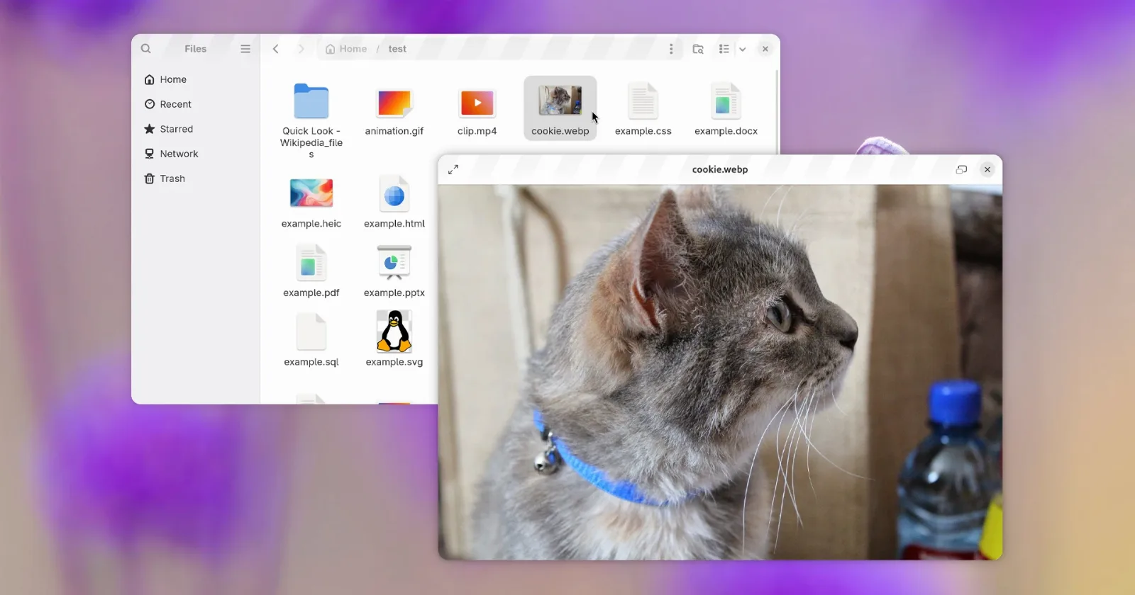 GNOME Sushi se renueva con GTK4 y nuevas funciones en GNOME 51